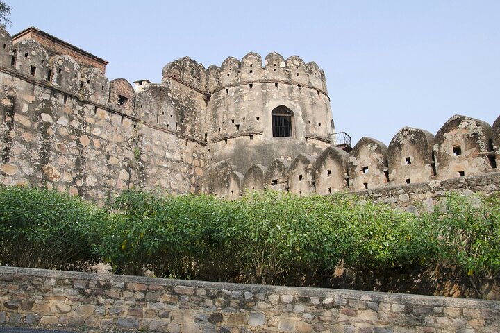 Food Walk of Jhansi (2 Hours Guided Walking Tour)