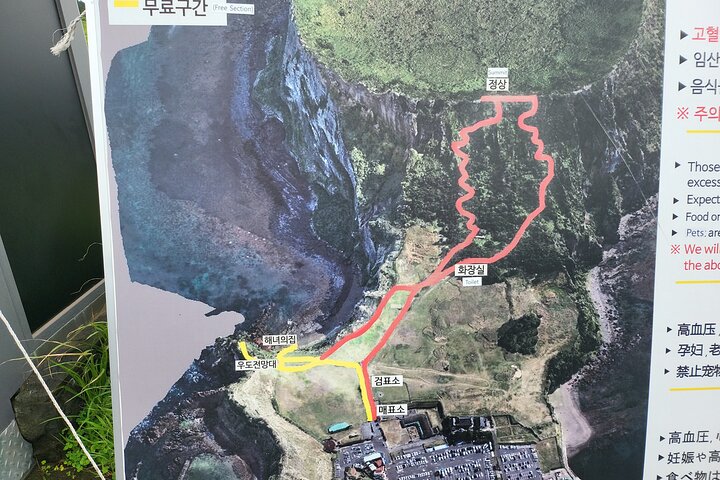 Private Tour in South and East in jeju island