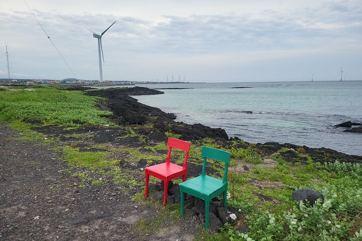Private Tour in South and East in jeju island