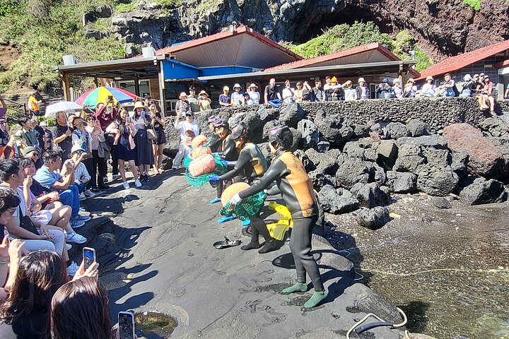 Private Tour in South and East in jeju island