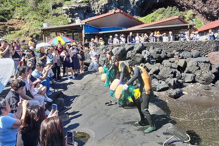 Private Tour in South and East in jeju island