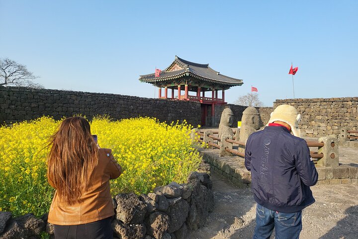 Private Tour in South and East in jeju island