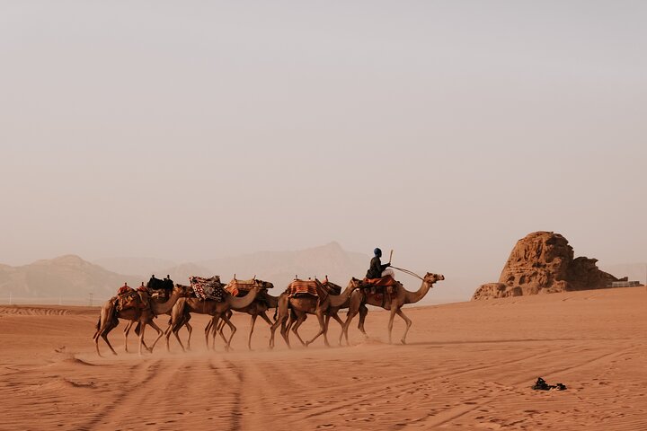 2 Day Private Tour to Petra and Wadi Rum from Amman