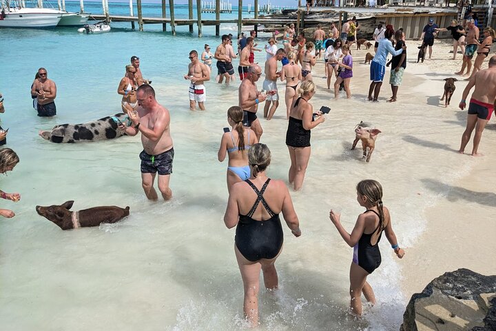 Nassau 3-stops: Snorkeling, Swimming Pigs, Turtles & Lunch