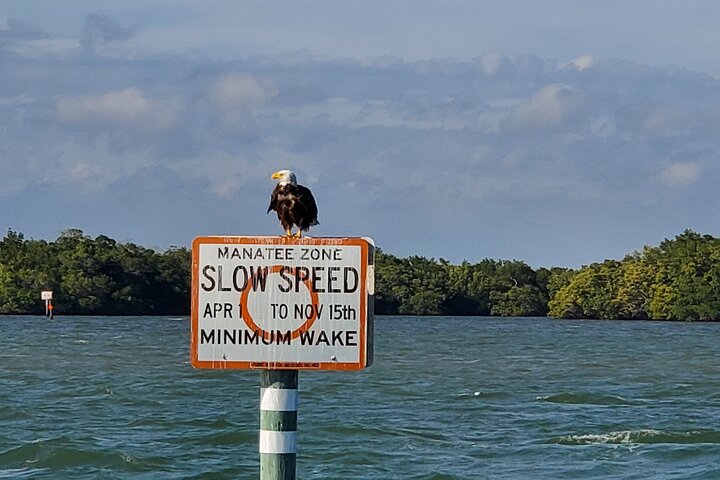 Fort Myers Beach Dolphin & Sightseeing Tour Refreshments Included