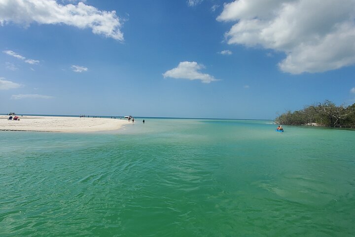 Fort Myers Beach Dolphin & Sightseeing Tour Refreshments Included