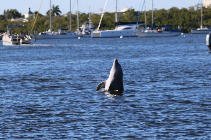 Fort Myers Beach Dolphin & Sightseeing Tour Refreshments Included