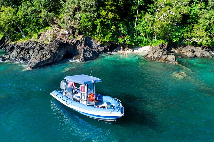Tropical Dunk Island Half Day Activity from Mission Beach