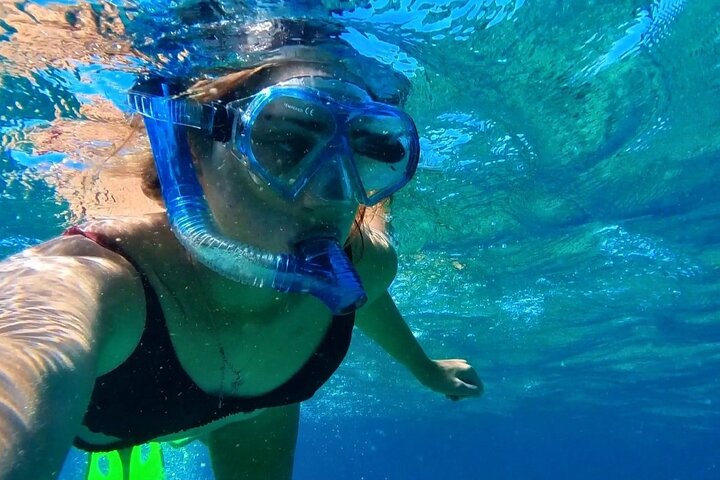 Tropical Dunk Island Half Day Activity from Mission Beach