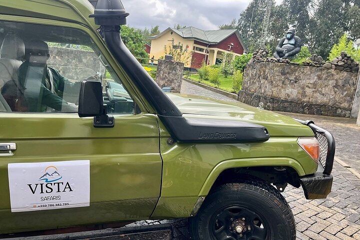 1 Day Gorilla Trekking Experience in Volcanoes National Park