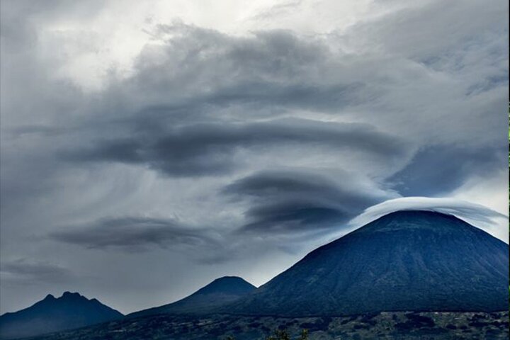 1 Day Gorilla Trekking Experience in Volcanoes National Park