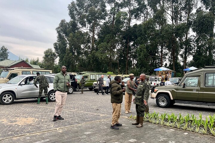 1 Day Gorilla Trekking Experience in Volcanoes National Park