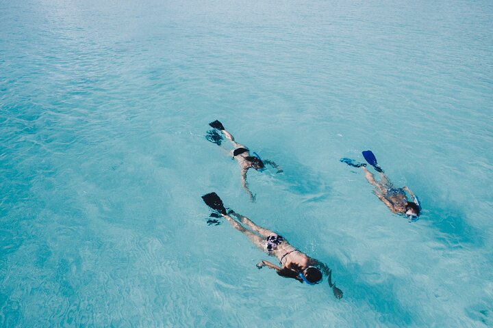 Miami/Lauderdale: Bahamas Day Cruise & Getaway