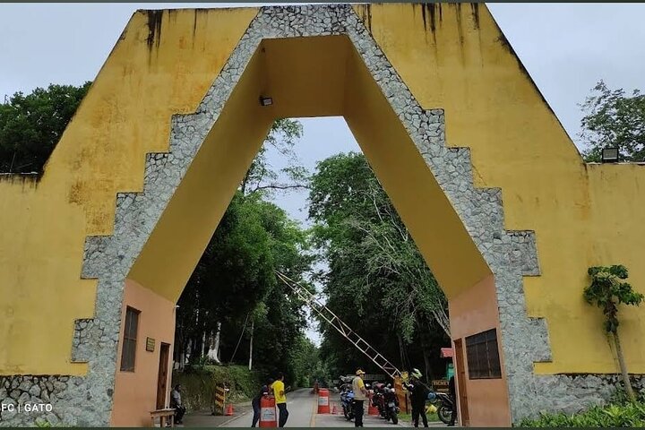 Basic Tour to Tikal Includes Transportation and Guide Service
