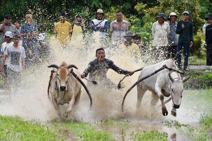 Padang West Sumatra 9-Day Private Tour + Mentawai