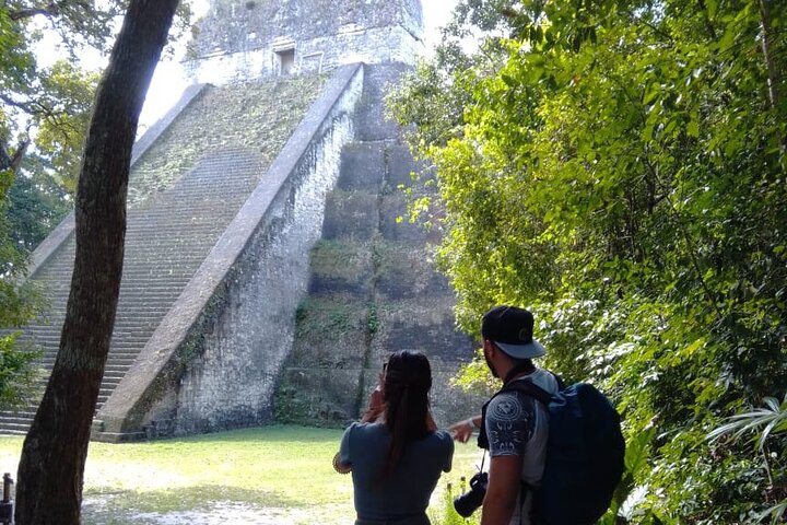 Full Day Tikal Sunrise Tour from Flores and Archaeological Tour