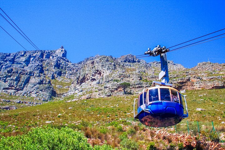 Table Mountain, Penguins & Cape Point Group Tour from Cape Town