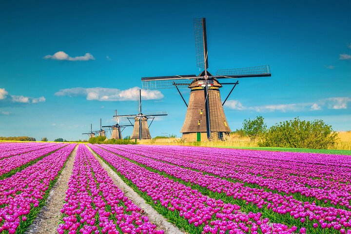 Full Day Private Kinderdijk Photography Tour from Rotterdam port