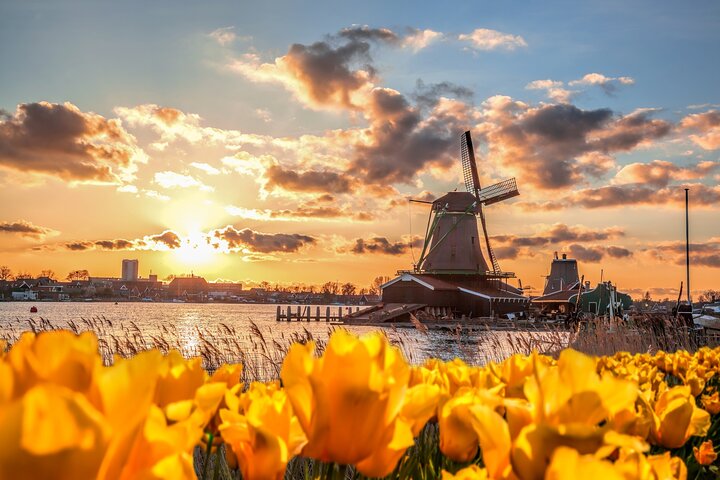 Full Day Private Kinderdijk Photography Tour from Rotterdam port