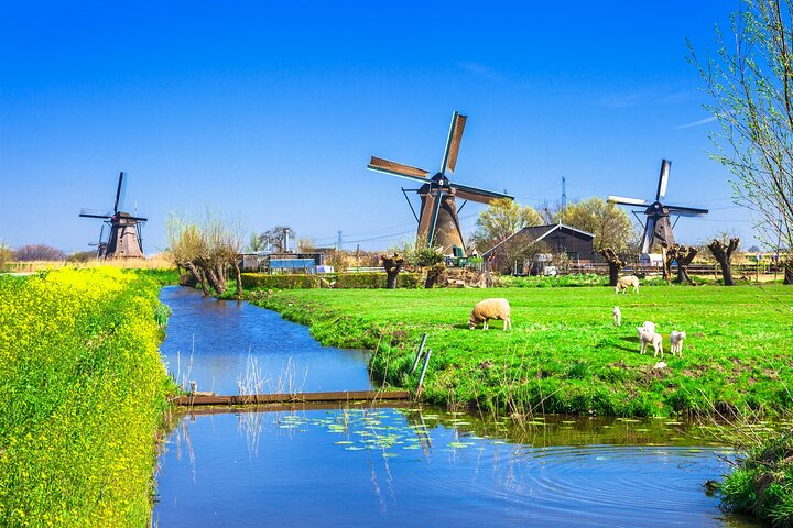Full Day Private Kinderdijk Photography Tour from Rotterdam port