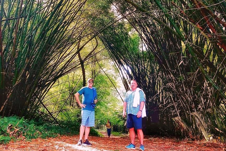 Half Day Group Tour to Tobago Atlantic Coast