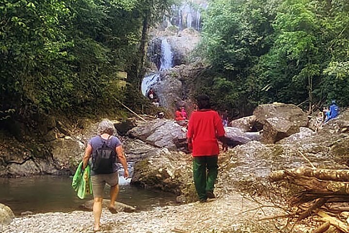 Half Day Group Tour to Tobago Atlantic Coast