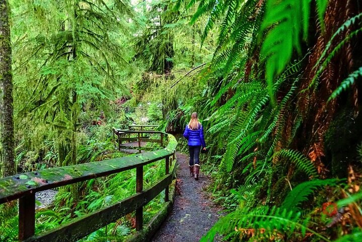Self-Guided Audio Driving Tour in Olympic National Park