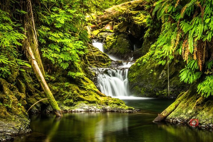 Self-Guided Audio Driving Tour in Olympic National Park