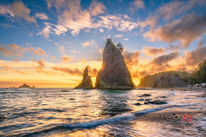 Self-Guided Audio Driving Tour in Olympic National Park