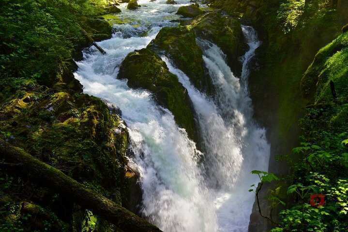 Self-Guided Audio Driving Tour in Olympic National Park