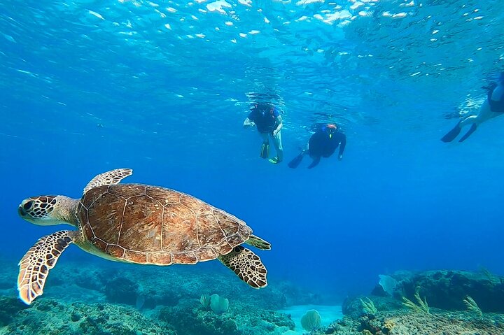 Snorkeling Aguadilla for Families with Children
