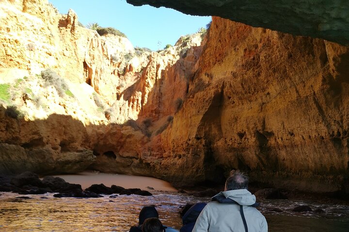 Dolphins Search and Benagil Caves from Albufeira