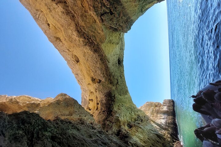 Dolphins Search and Benagil Caves from Albufeira
