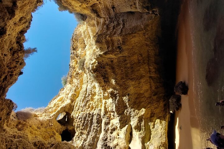 Dolphins Search and Benagil Caves from Albufeira