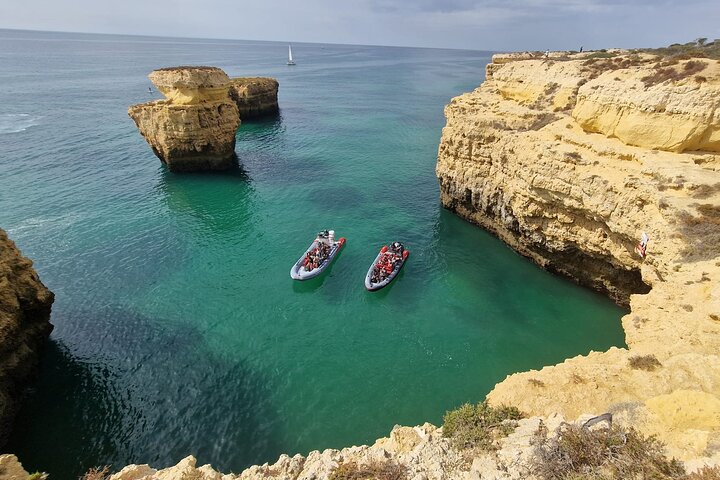 Dolphins Search and Benagil Caves from Albufeira