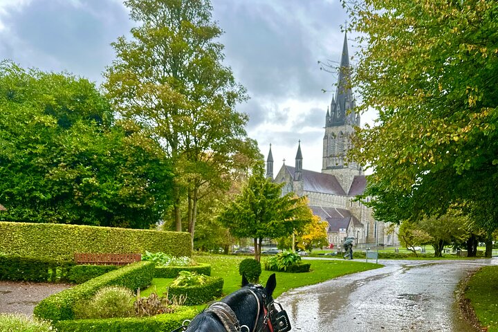 Killarney National Park Tour