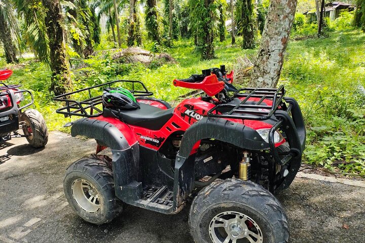 ATV Jungle Adventure in Krabi with Roundtrip Transfer