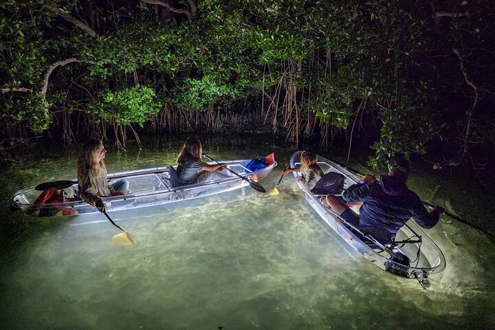 Sarasota - Clear Kayak LED Night Glass Bottom Tour