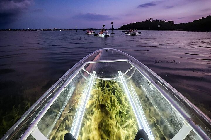 Sarasota - Clear Kayak LED Night Glass Bottom Tour