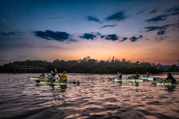 Sarasota - Clear Kayak LED Night Glass Bottom Tour