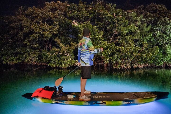 Sarasota - Clear Kayak LED Night Glass Bottom Tour