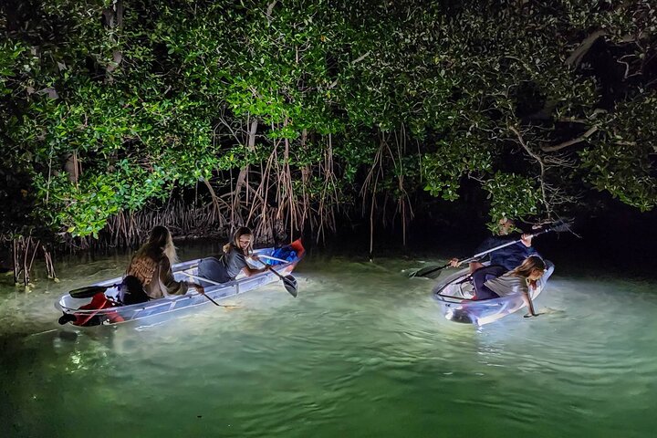 Sarasota - Clear Kayak LED Night Glass Bottom Tour
