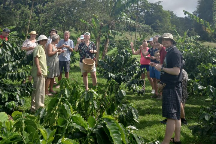 Cultural: Coffee & Chocolate Tour+Wildlife Trail+Waterfall Swim