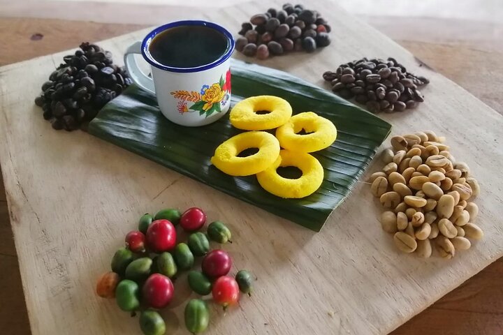 Cultural: Coffee & Chocolate Tour+Wildlife Trail+Waterfall Swim
