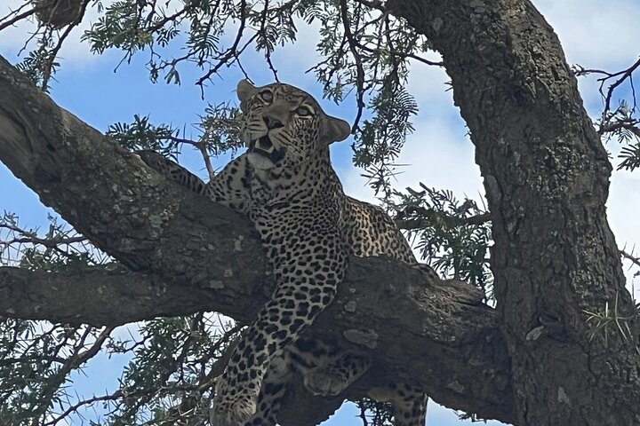 Chobe National Park Small Group Day Safari from Victoria Falls