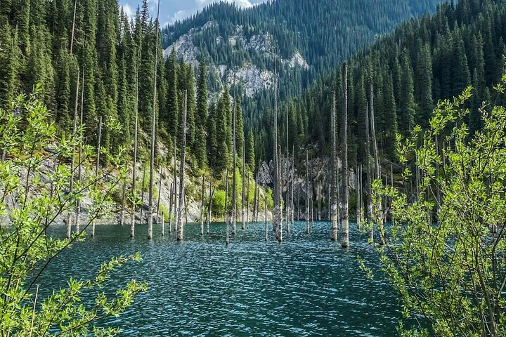 Kolsai, Kaindy lakes & Charyn canyon with Yurt stay and Campfire