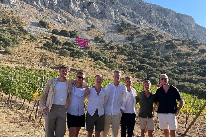 Antequera - Dolmens & Vineyard Experience