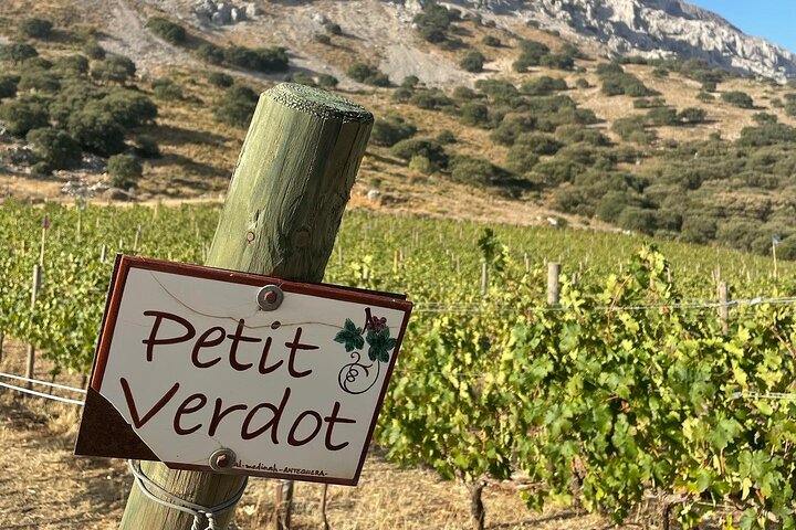 Antequera - Dolmens & Vineyard Experience
