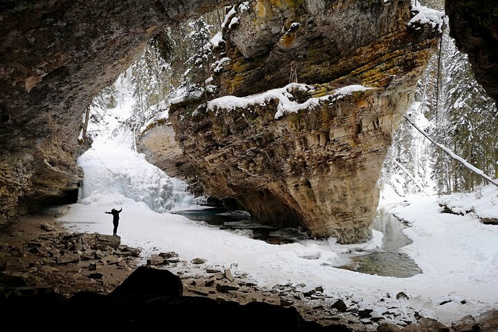 8 Iconic Stops. 12 Comfy Seats. See Banff's Best in First Class.