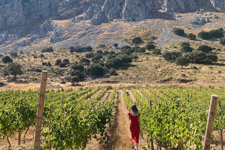 Antequera - Dolmens & Vineyard Experience